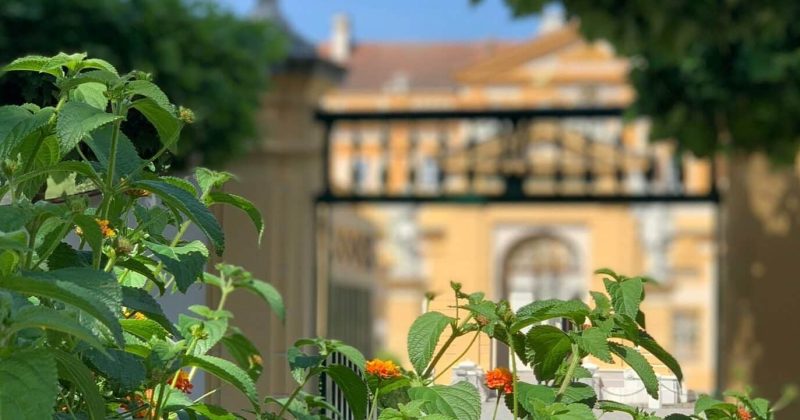 4EF51725-2429-4686-ACF7-65E6EDFFAC26-e1707682239866